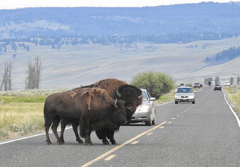 The World Is Filled With Roadblocks…and With Roads