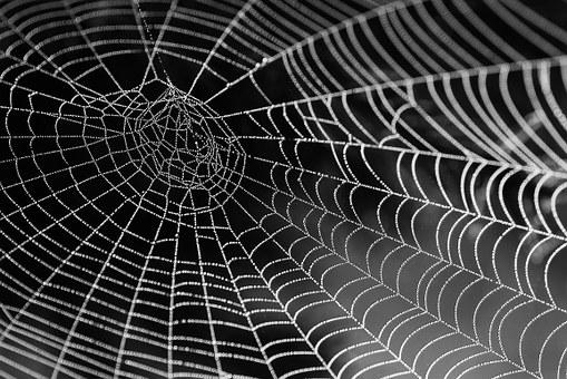 First, a Cobweb