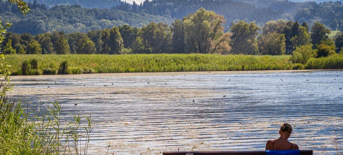 2026 New Year’s Resolution – Would It Help?