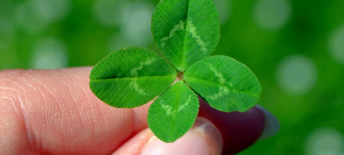 One Life, Enjoy Your Path