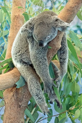 Productivity and Relaxation